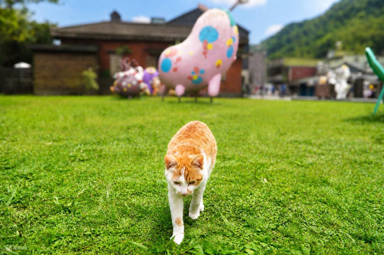 [Meow Butler Annyang] Taiwan Taipei Yehliu Shifen Jiufen Bus Tour ...